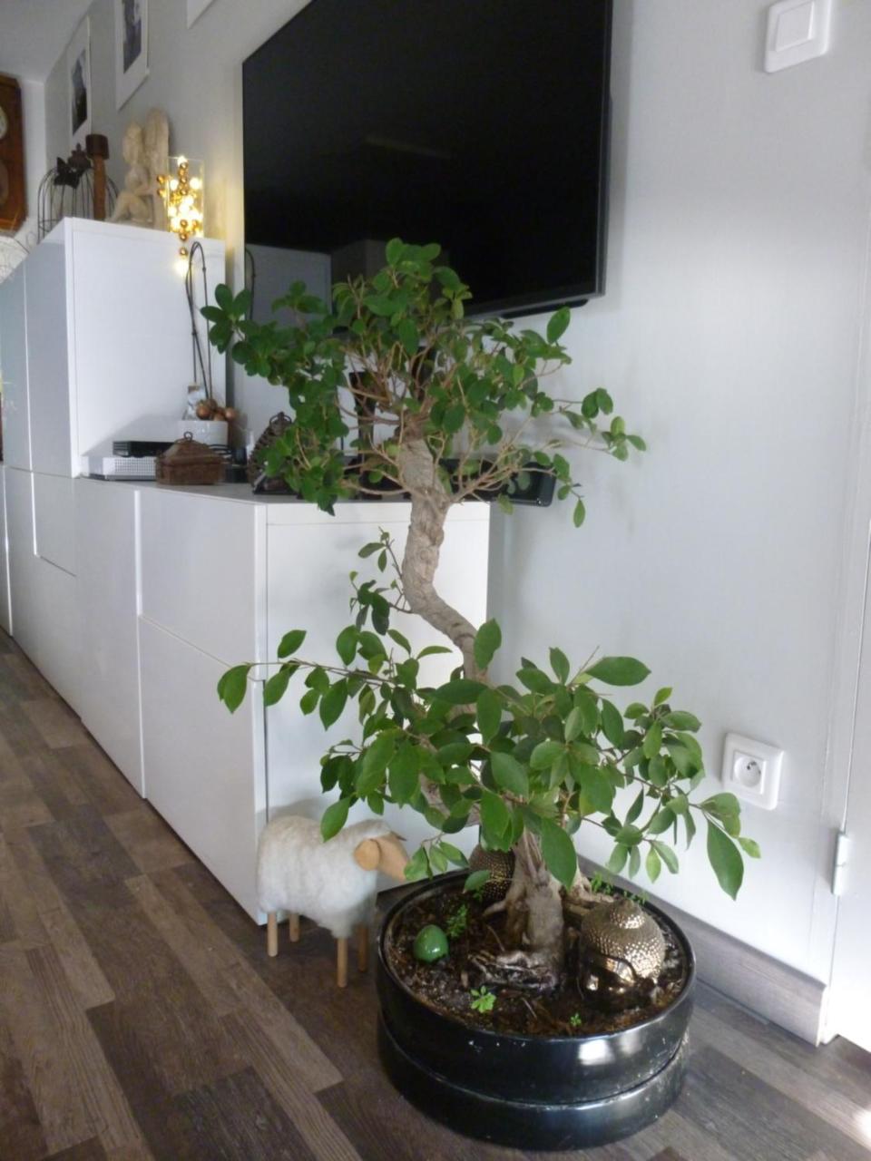 1 Chambre, 1 P'Tit Dej', 1 Sourire Montpellier Ngoại thất bức ảnh